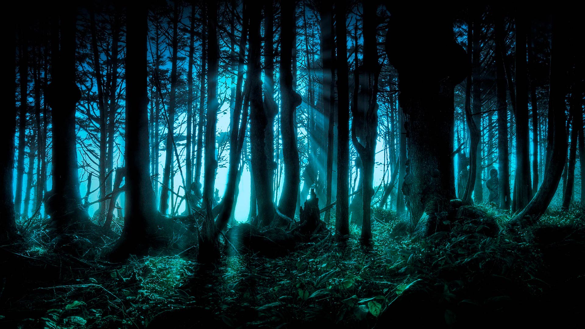 Обои Страшный лес, картинки - Обои для рабочего стола Страшный лес фото из  альбома: (природа)